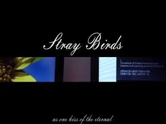 [图]#3 飞鸟集 l Stray birds