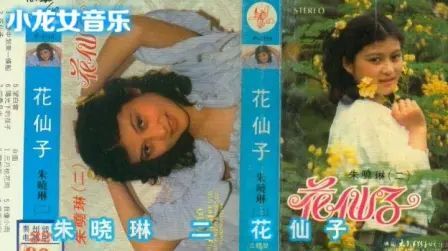 [图]朱晓琳2 《花仙子》90年代经典老歌 一起来听