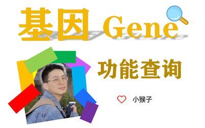 [图]【生信分析-9】如何高效查询基因的功能Genecard