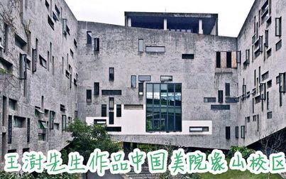 [图]【读书分享】王澍建筑文化随笔集《造房子》 是17年最爱十本书之一