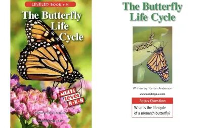 [图]The Butterfly Life Cycle