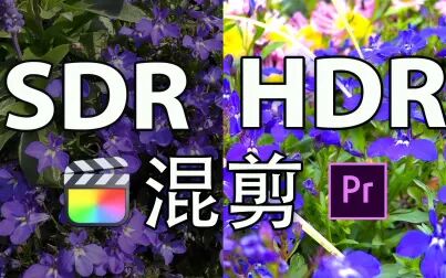 [图]怎样用Final Cut Pro和Adobe Premiere Pro进行HDR与SDR视频混剪