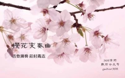 [图]398吉他 烧耳音乐-樱花变奏曲