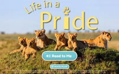 [图]Life in a pride | 国家地理少儿英语读物