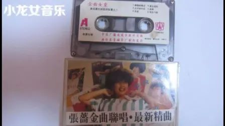 [图]张蔷《金曲联唱》90年代经典迪斯科舞曲 首首好听