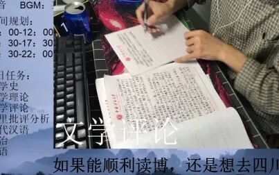 [图]【学习录播】摸鱼实录-10.2 文学评论写作实况