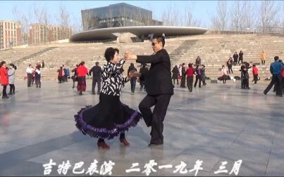 [图]【交谊舞视频 吉特巴】19040 吉特巴视频 王鹏 李宝平 表演 吉特巴教学