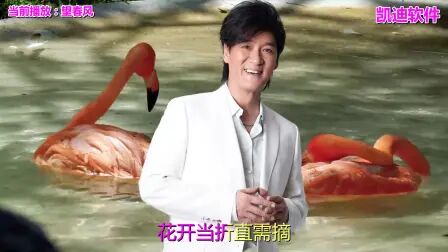 [图]经典老歌在线听歌曲《望春风》