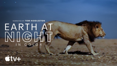 [图]Apple TV+美感纪录片《夜色中的地球》官方预告