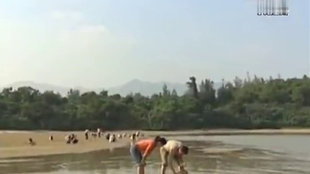 [图]流金岁月 第四集 铁嘴鸡