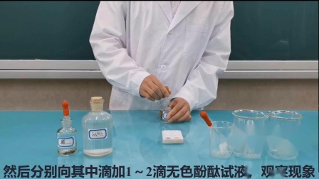 [图]实验10.溶液酸碱性的检验mp4