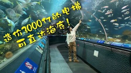 [图]造价3000亿的电梯可直达海底!?上海海洋水族馆全纪录!!!