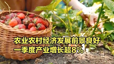 [图]我国农业农村经济发展前景良好,一季度第一产业增长超8%