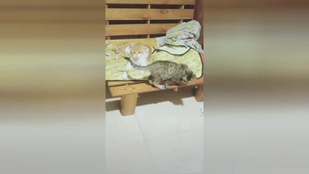 item.title