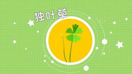 [图]什么植物只长一片叶子只开一朵花