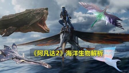 [图]《阿凡达2》6种全新海洋生物曝光,40米海龙怪兽现身