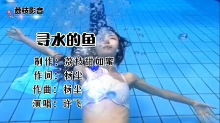 [图]许飞演唱的《寻水的鱼》,很好听的歌曲