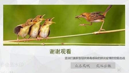 [图]疫情防控主题班会