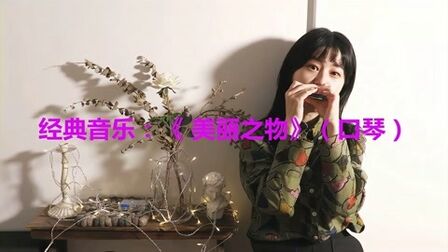 [图]全球经典音乐第42首:《美丽之物》(口琴)前奏响起让人陶醉