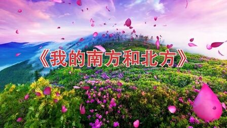 [图]高清朗诵《我的南方和北方》led背景视频