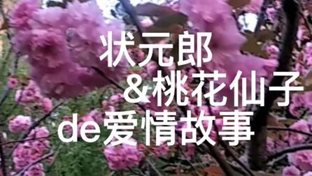 [图]状元郎与桃花仙子的爱情故事