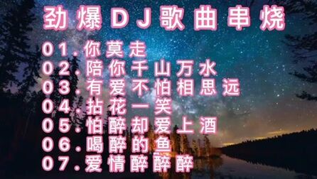 [图]劲爆DJ歌曲串烧《你莫走》《陪你千山万水》《有爱不怕相思远》