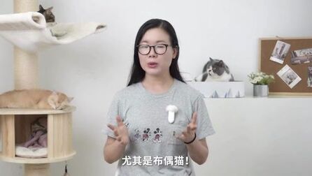 [图]养猫常犯七大禁忌-新手养猫手册第三期