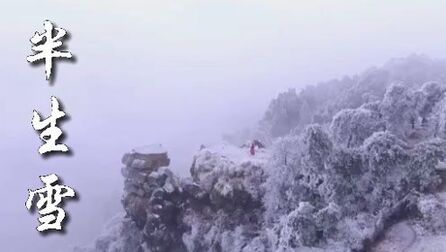 [图]是七叔呢《半生雪》吹不散岁月留下的眼泪,换不回青丝已尽成灰