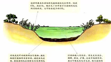 [图]高中地理6选修环境保护二章环境污染与防治第一节水污染及其成因