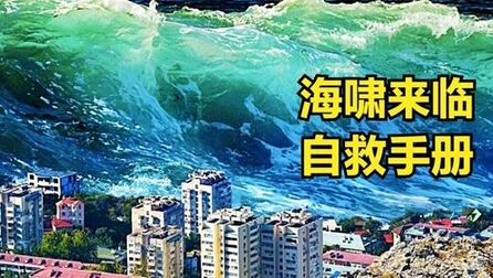 [图]末日生存手册:海啸是什么?海啸幸存者教你如何逃过25米高的海啸