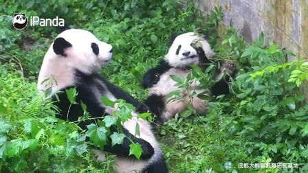 [图]妈妈负责美丽,女儿负责演戏,分工明确,执行到位只要母女会搭配,...