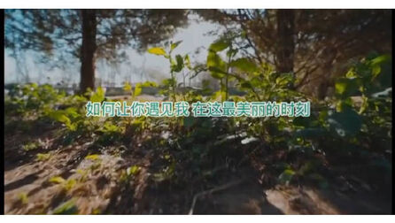 [图]《一棵开花的树》朗读:杨丞琳 中影小水的微博视频