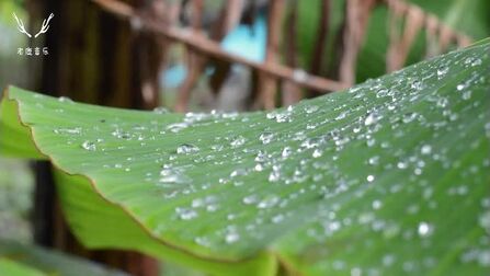 [图]世界经典轻音乐《雨的印记》,超级好听,永久收藏