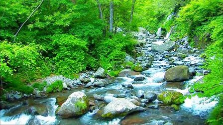 [图]非常优美的纯音乐《WALKIN' UP THE RIVER沿着河走》