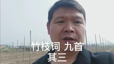 [图]唐诗鉴赏之 背诵 竹枝词九首 其三