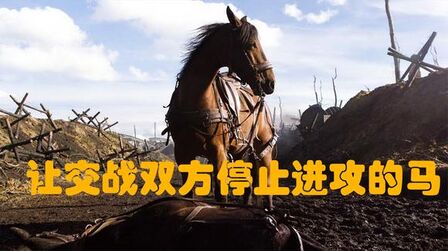 [图]不会耕地的马,在战场上却勇敢厮杀,交战双方都停止进攻