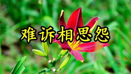 [图]感人肺腑!一首《难诉相思怨》柔肠百转,打动人心