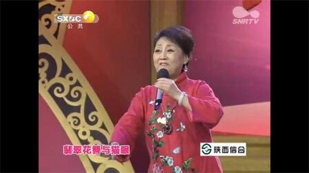 [图]段亚军老师演唱秦腔《锁麟囊》选段