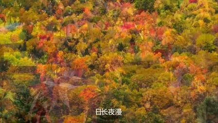 [图]《秋天的落叶》Autumn Leaves 中文版 演唱:灵...