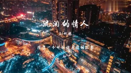 [图]张冬玲 - 流泪的情人 (DJ何鹏版)