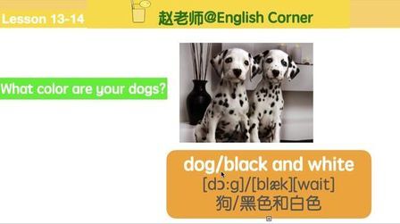 [图]新概念英语lesson 13-14What color is it? 句型练习 颜色知多少