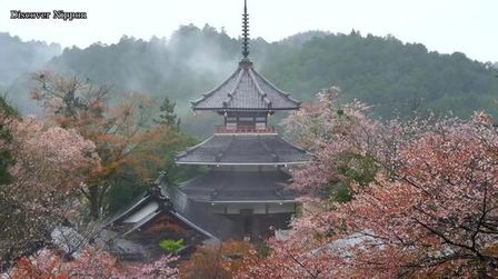 [图]轻音乐慢生活之寂静山林 吉野山樱花-Bandari