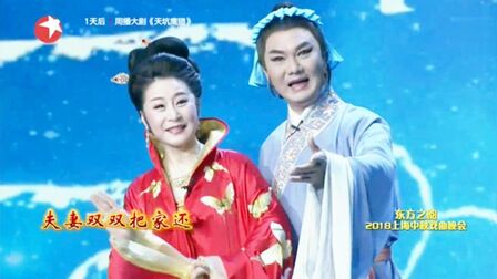 [图]黄梅戏《天仙配·树上的鸟儿成双对》赵媛媛 刘华演唱 精彩好看