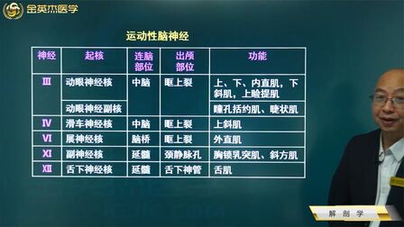 [图]临床解剖学09神经系统02周围神经03神经02脑神经04运动性脑神经