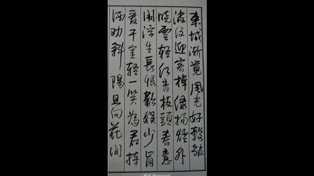 [图]子璞硬笔书法-行书手写字帖:宋祁·木兰花 东城渐觉春光好