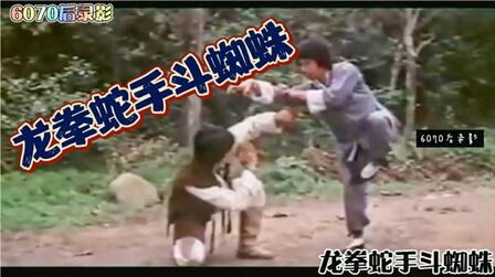 《龙拳蛇手斗蜘蛛-高清电影-完整版在线观看