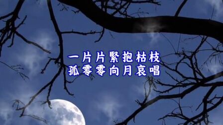 [图]陈兰丽《秋夜》,杨彦歧词曲,我爱夜,我爱夜