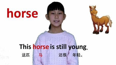 [图]动物篇horse马 牛津初高中小学少儿童英语单词和例句子 常荣