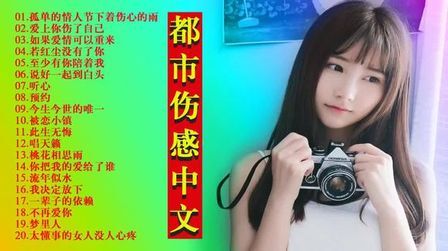 [图]都市伤感中文DJ《爱上你伤了自己+桃花相思雨+梦里人》