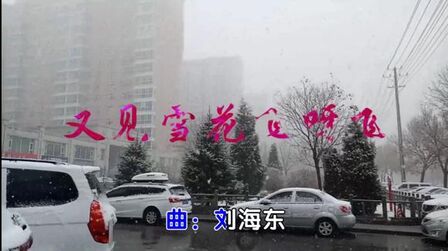 [图]又见雪花飞呀飞